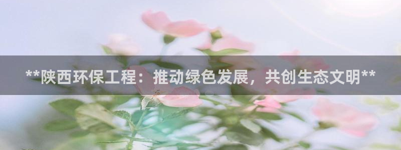 彩名堂怎么打不开了：**陕西环保工程