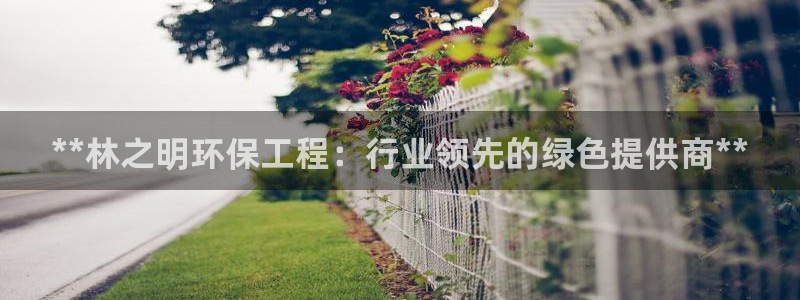 彩名堂最新预测3d：**林之明环保工程：行业领先的绿色提供商**