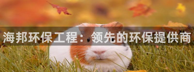 彩名堂客服：海邦环保工程：领先的环保