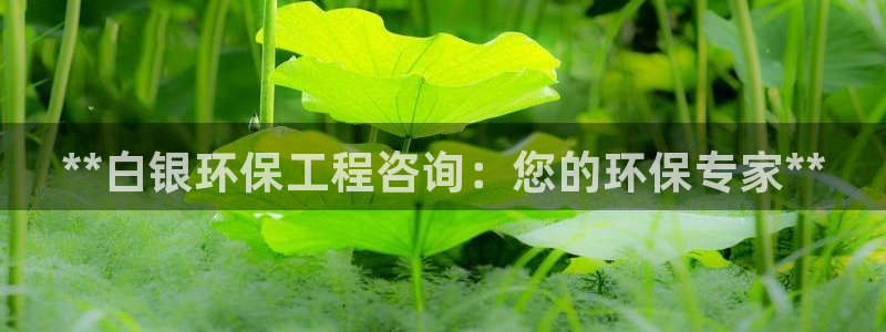 彩名堂预测免费计划app-彩名堂预测