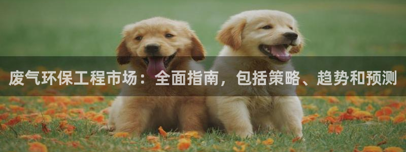 彩名堂移动客户端怎么下载：废气环保工