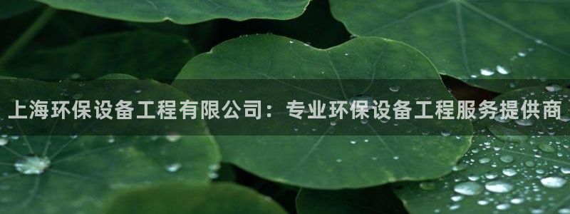 彩名堂客户：上海环保设备工程有限公司