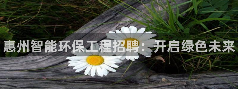 彩名堂计划怎么看：惠州智能环保工程招聘：开启绿色未来