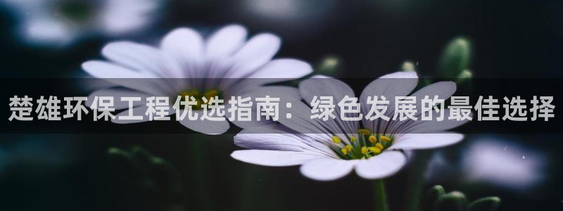 彩名堂怎么打不开了：楚雄环保工程优选