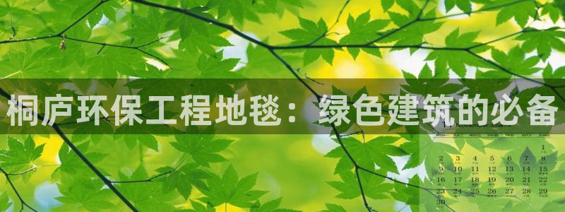 彩名堂官方软件下载：桐庐环保工程地毯