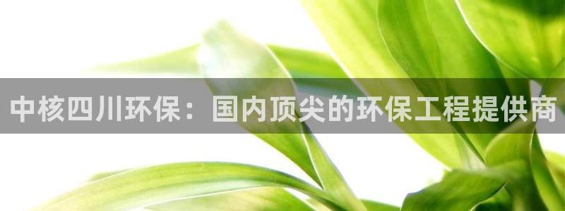彩名堂客服电话号码：中核四川环保：国