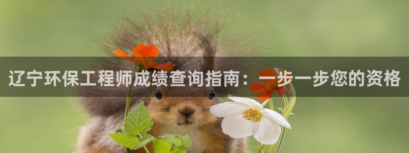 彩名堂计划真的准吗：辽宁环保工程师成