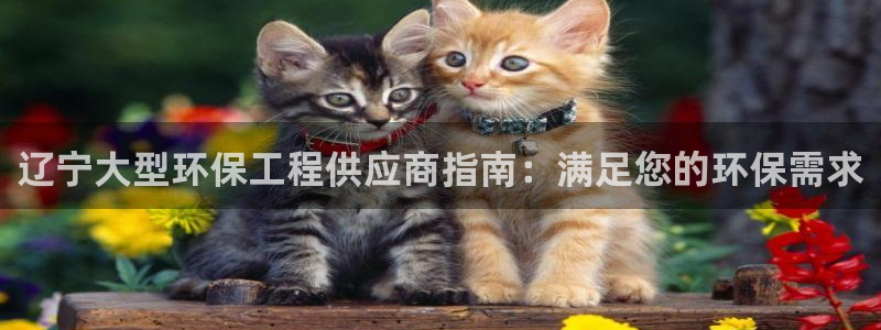 彩名堂手机客户端官网：辽宁大型环保工