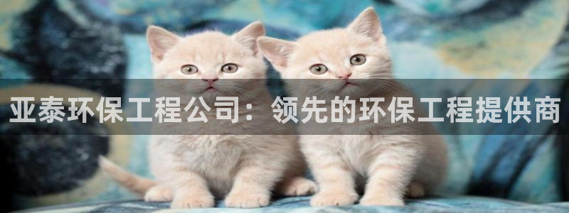谁知道彩名堂网站是多少：亚泰环保工程