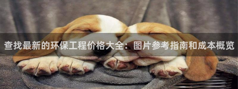 彩名堂的拼音：查找最新的环保工程价格