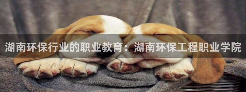 彩名堂彩：湖南环保行业的职业教育：湖