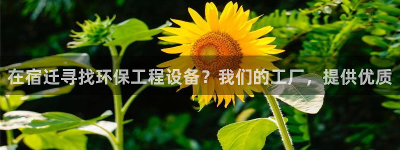 彩名堂客服电话号码：在宿迁寻找环保工