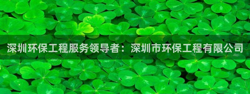 彩名堂为什么打不开：深圳环保工程服务