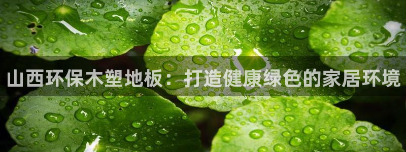 彩名堂官网计划怎么下载：山西环保木塑