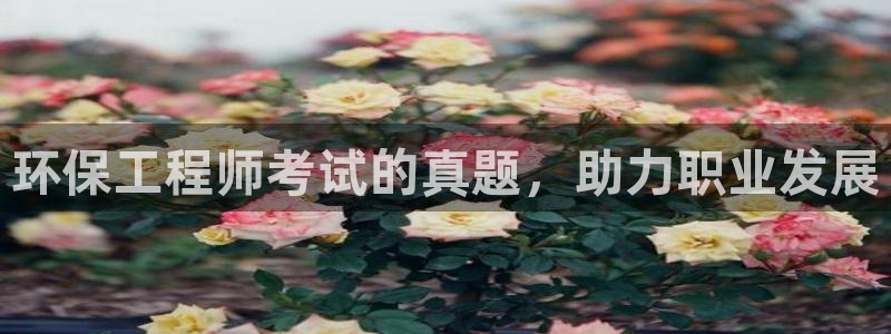 彩名堂幸运飞船计划：环保工程师考试的真题，助力职业发展