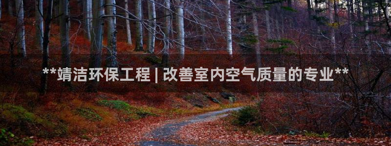 彩名堂怎么打最稳：**靖洁环保工程 | 改善室内空气质量的专