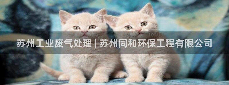 彩名堂是不是坑人的：苏州工业废气处理