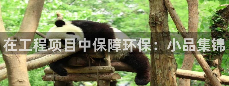 彩名堂改名稻草人了吗是真的吗：在工程