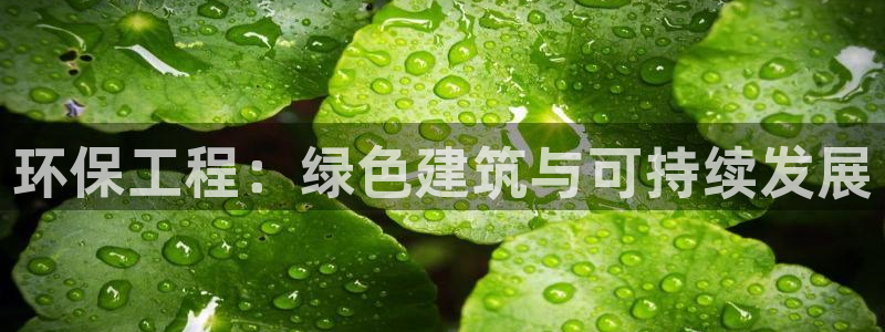 老版彩名堂：环保工程：绿色建筑与可持续发展