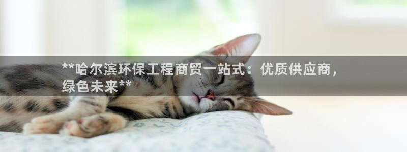 彩名堂5.0计划：**哈尔滨环保工程商贸一站式：优质供应商，
