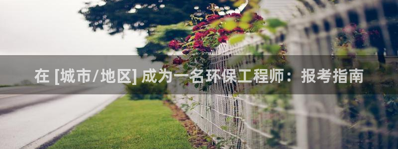 彩名堂怎么打最稳：在 [城市/地区] 成为一名环保工程师：报