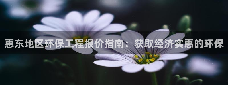 彩名堂为什么用不了了：惠东地区环保工程报价指南：获取经济实惠