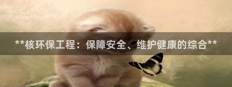 彩名堂计划怎么跟,为什么我一跟就挂：**核环保工程：保障安全